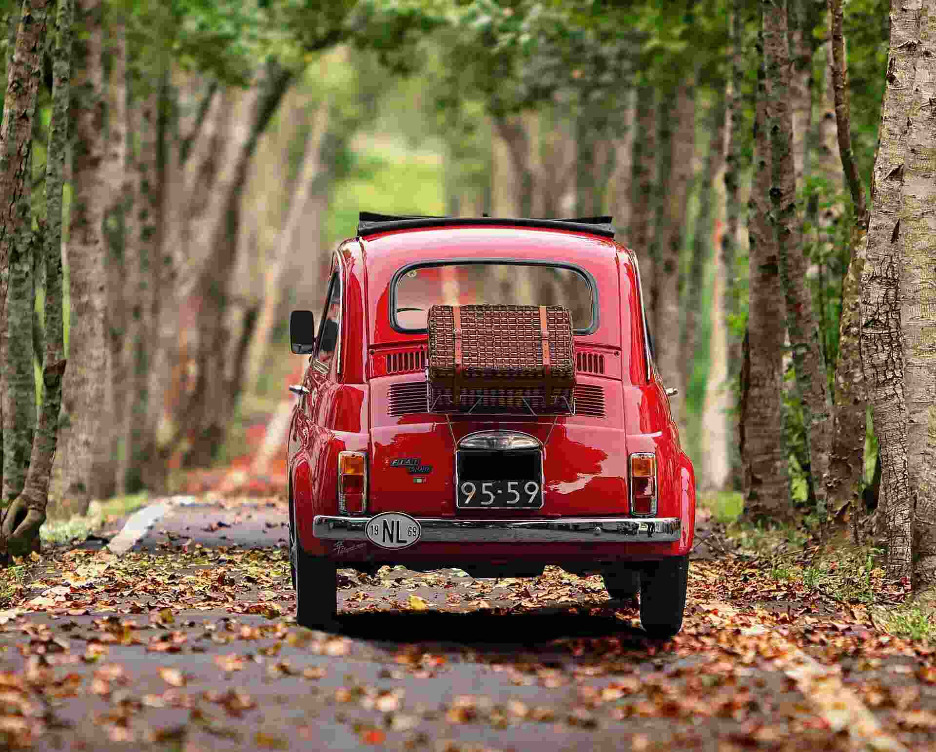 czerwony fiat na tle lasu